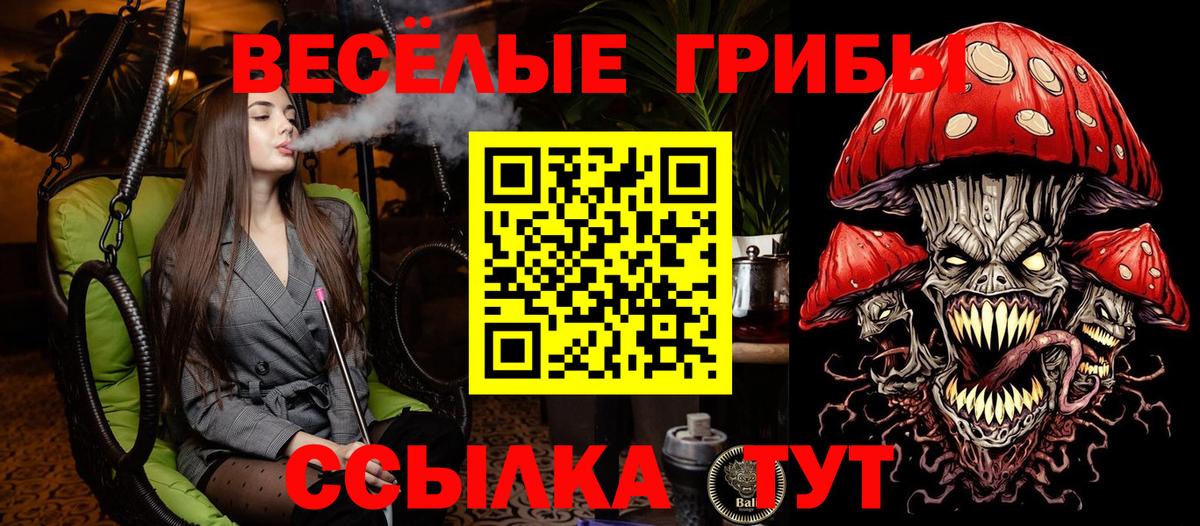 Камышлов  Галлюциногенные грибы ЛСД  Вход с VPN 