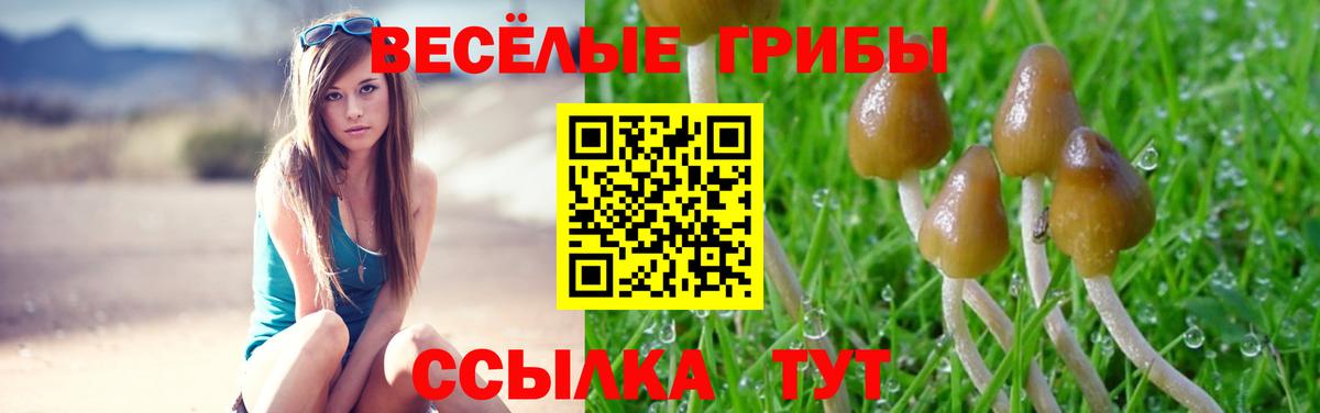 Галлюциногенные грибы GOLDEN TEACHER Камышлов